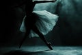 ballet dancer\'s silhouette, capturing curve of body and flowing costume, dramatic lighting creating elegant shadows on dark Royalty Free Stock Photo