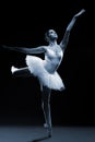 Ballet dancer in white tutu posing on one leg Royalty Free Stock Photo