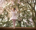 Ballet dancer Royalty Free Stock Photo