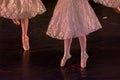 Ballet Dancers with Classical Dresses performing a ballet on Blur Background Royalty Free Stock Photo