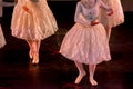 Ballet Dancers with Classical Dresses performing a ballet on Blur Background Royalty Free Stock Photo