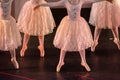 Ballet Dancers with Classical Dresses performing a ballet on Blur Background Royalty Free Stock Photo