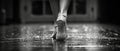 Ballet dancers feet on pointe Royalty Free Stock Photo