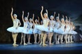 BALLET DANCERS, SWAN LAKE BALLET Royalty Free Stock Photo