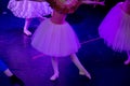 Ballet Dancers under Purple Light with Classical Dresses performing a ballet on Blur Background Royalty Free Stock Photo