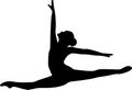 Ballet Jumping Dancer Royalty Free Stock Photo