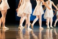 Ballet performance Royalty Free Stock Photo