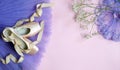 Ballet pointe shoes and purpl tutu flowers Royalty Free Stock Photo