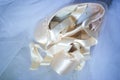 Ballet shoes Royalty Free Stock Photo