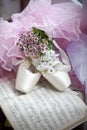 Ballet shoes Royalty Free Stock Photo