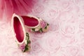 Ballet Slippers Royalty Free Stock Photo