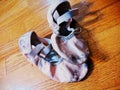 Worn ballet slippers