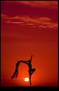 Ballet at Sunset Royalty Free Stock Photo