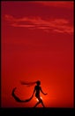 Ballet at Sunset Royalty Free Stock Photo