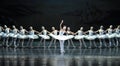 Ballet Swan Lake Royalty Free Stock Photo