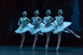 The Little Swan Dance-Ballet Swan Lake Royalty Free Stock Photo