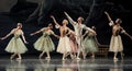 Ballet swan lake Royalty Free Stock Photo