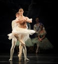 Ballet Swan Lake