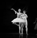 Ballet Swan Lake Royalty Free Stock Photo