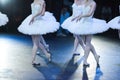 Ballet swan lake. statement. Ballerinas in the movement.