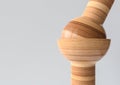 Balljoint - Joint types of bones in wood look - 3D Rendering