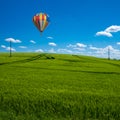 ballon is flying over a green corn field in may and the blue sky is almost cloudless Royalty Free Stock Photo