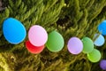 Ballons with several color in trees.Party decoration.