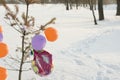 Ballons In Winter Park