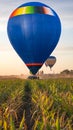 Balloon amid blue sky . soar in the clouds