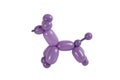 Balloon animal poodle isolated