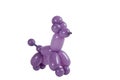 Balloon animal poodle isolated