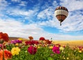 Balloon flies over the field