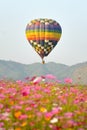 Balloon and flower Royalty Free Stock Photo