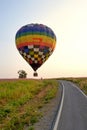 Balloon and flower Royalty Free Stock Photo