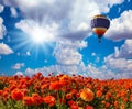 The balloon flying over fields Royalty Free Stock Photo