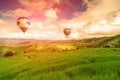 Balloon flying on rice field, Rice field in mountain or rice terrace in the nature, Relax day in beautiful location, rice field Royalty Free Stock Photo