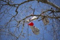 Balloon Litter in a Tree