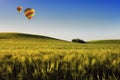 Balloon over the field Royalty Free Stock Photo