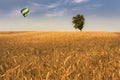 Balloon over wheatfield Royalty Free Stock Photo