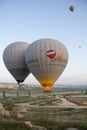 Balloon in the sky