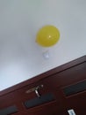 Balloon