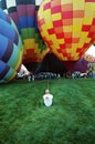 balloon wrangler