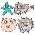 Balloonfish cute