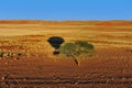 Ballooning (Namibia) Royalty Free Stock Photo