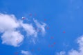 Balloons Ascend Into The Sky
