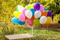 Balloons in autumn park Yellow Autumn time Royalty Free Stock Photo