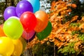 Balloons in autumn park Yellow Autumn time Royalty Free Stock Photo