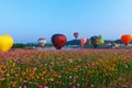 Balloons,Balloons in sky ,Balloon Festival,Singhapark International Balloon Fiesta 2017,Chiang Rai, Thailand