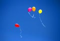 Balloons of different colors have been released and are flying high in a wide blue sky Royalty Free Stock Photo