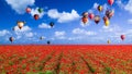 Balloons Floating Over a Poppy Field